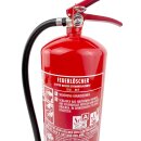 6l EXDINGER AF Wassernebellöscher mit Manometer auch für Fettbrände 4LE